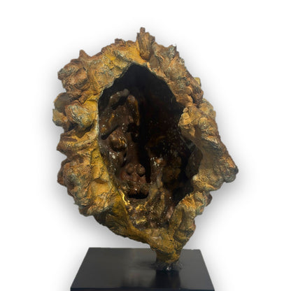 Felis – Tête de lion en bronze, sculpture de Ronceval, vue de dos