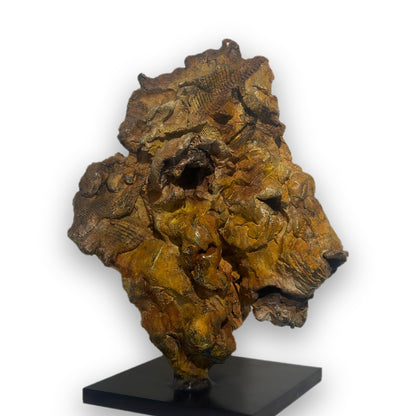Felis – Tête de lion en bronze, sculpture de Ronceval, vue de profil