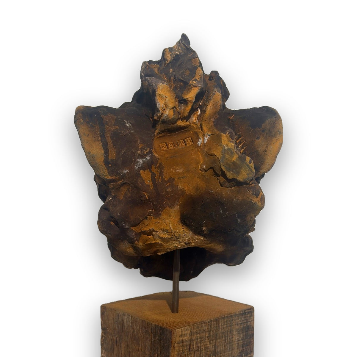 L'Adolescence – Tête de lion en céramique, sculpture de Ronceval, vue de dos