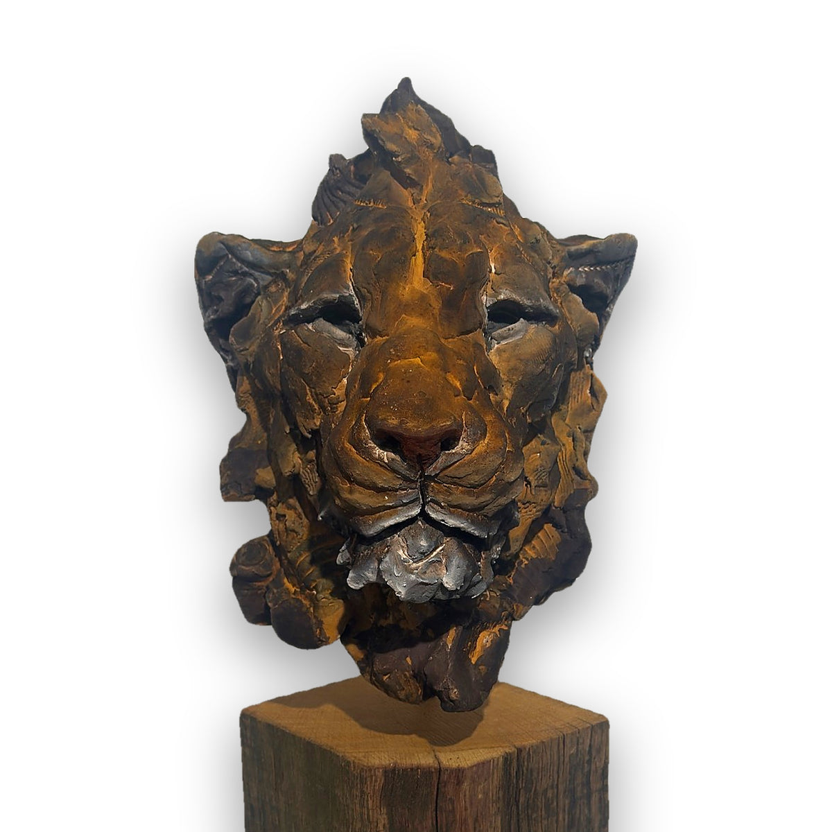 L'Adolescence – Tête de lion en céramique, sculpture de Ronceval, vue de face