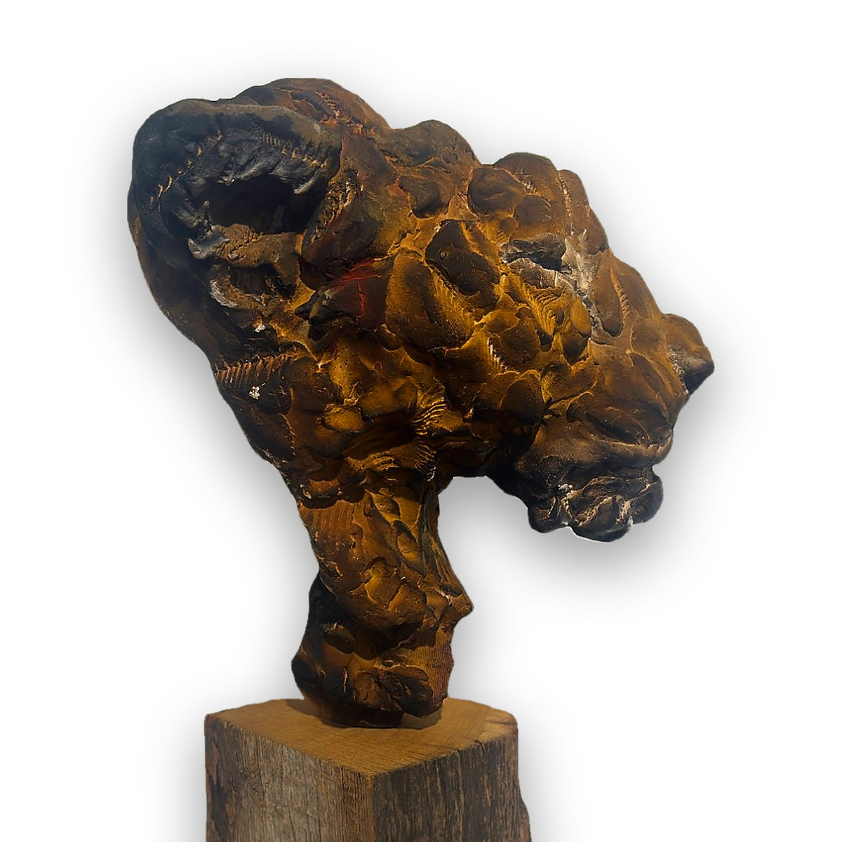 L'Aînée – Tête de lionne en céramique, sculpture de Ronceval, vue de profil droit